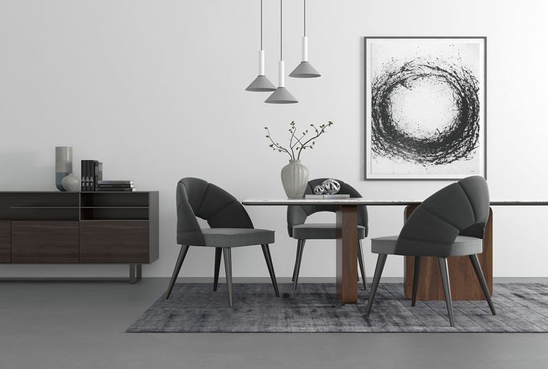 dining chair dining chair